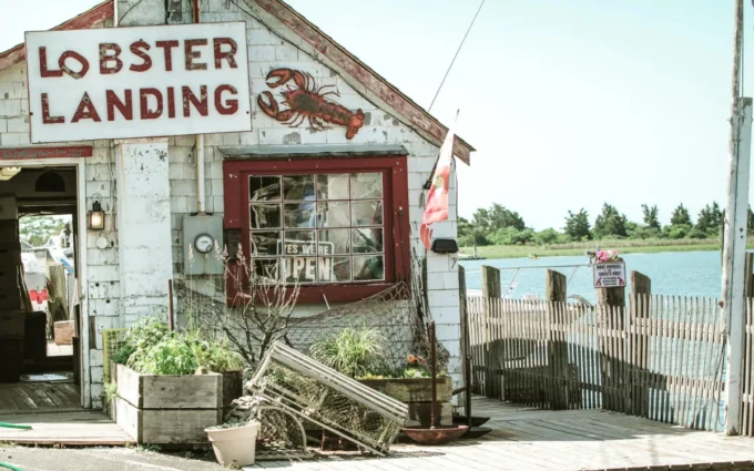 La storia del Lobster Roll, dal New England a tutto il mondo